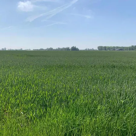 Panorama B0202 With Location *